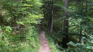 Прохват до замка Нойшванштайн
