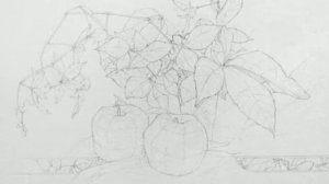 Натюрморт с яблоками