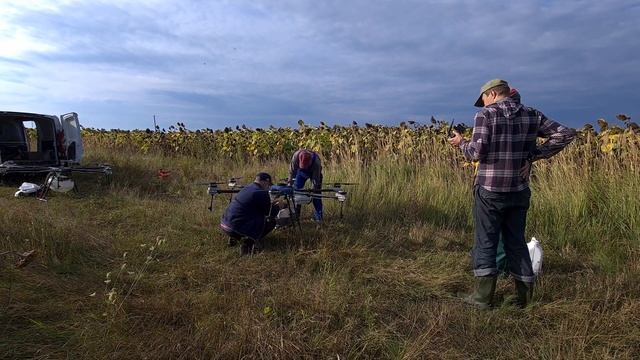 Десикація соняшника дронами смотреть онлайн