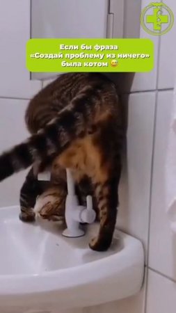 И не скажешь точнее