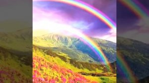 Авторский аудиотренинг Елены Диткевич «Любовь к себе». Author's audio training "Love for yourself".