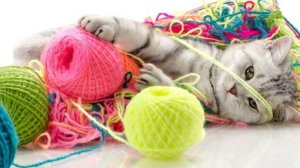 МК //Оригинальные петли для пуговиц на вашей планке😉