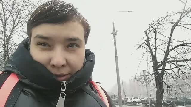 Лето сменяется зимой, Опять накупили саженцев... 15/2025
