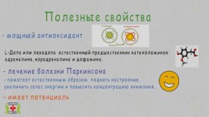 Мукуна жгучая - польза и вред.  Не для всех...