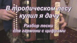 В тропическом лесу купил я дачу. (081 гармонь с цифрами)