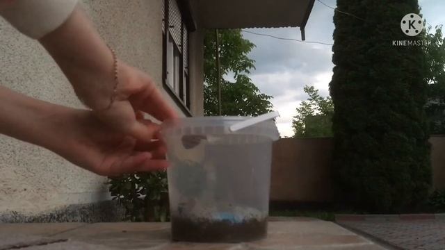 Делаю уборку в доме для Гэри 💙/чит опис/ 💙 смотреть онлайн