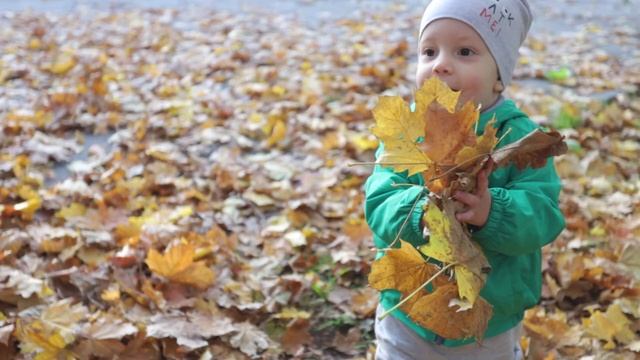 Клип-презентация. Школа. смотреть онлайн