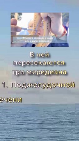 Сань Инь Цзяо RP 6