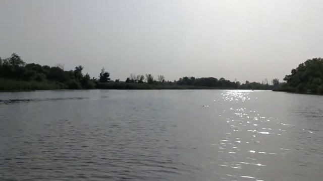 Тест катерного вейкборда never summer rooster #1