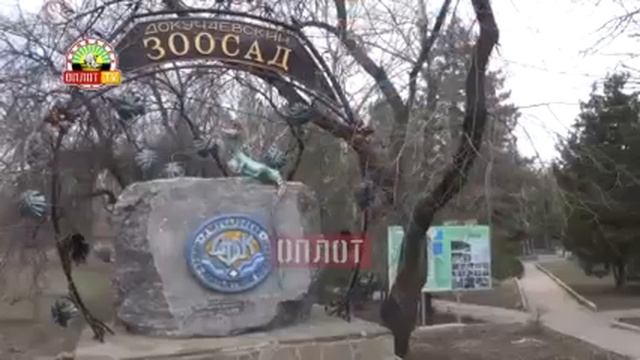 Помоги животным .Будьте людьми. смотреть онлайн