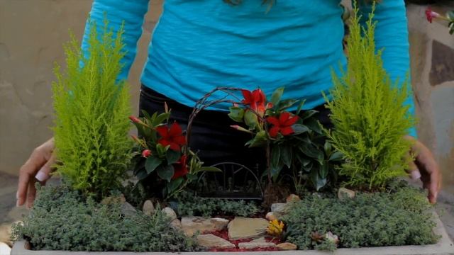 Make a Mini Garden With Sun Parasol Garden Crimson Mandevilla! смотреть онлайн