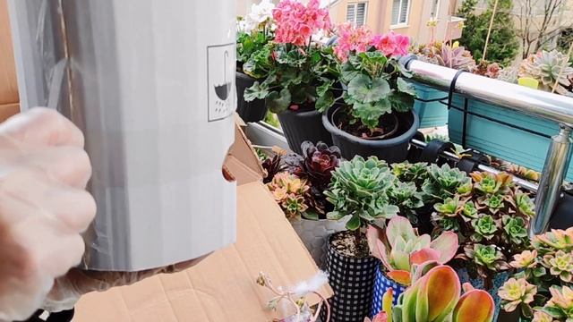 📢MİGROS'A SANDIK SANDIK ÇİÇEK GELDİ - KARGO AÇILIMI - MUHTEŞEM TÜRLER ALDIM смотреть онлайн