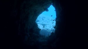 Family diving at Asia Divers & El Galleon Dive Resort   Puerto Galera Philippines
