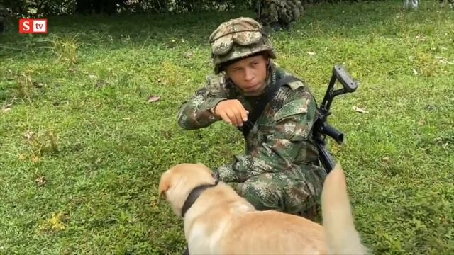 La increíble odisea de arrancar una mata de coca | Al Ataque смотреть онлайн