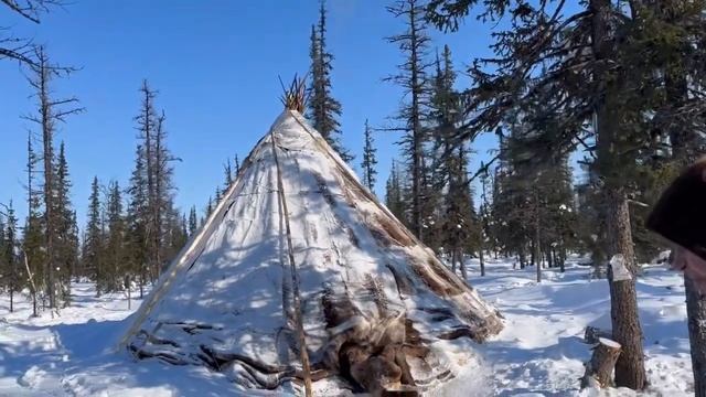 Ямал/ день(3) Чумовая жизнь в тундре при полсотни градусов в минус.