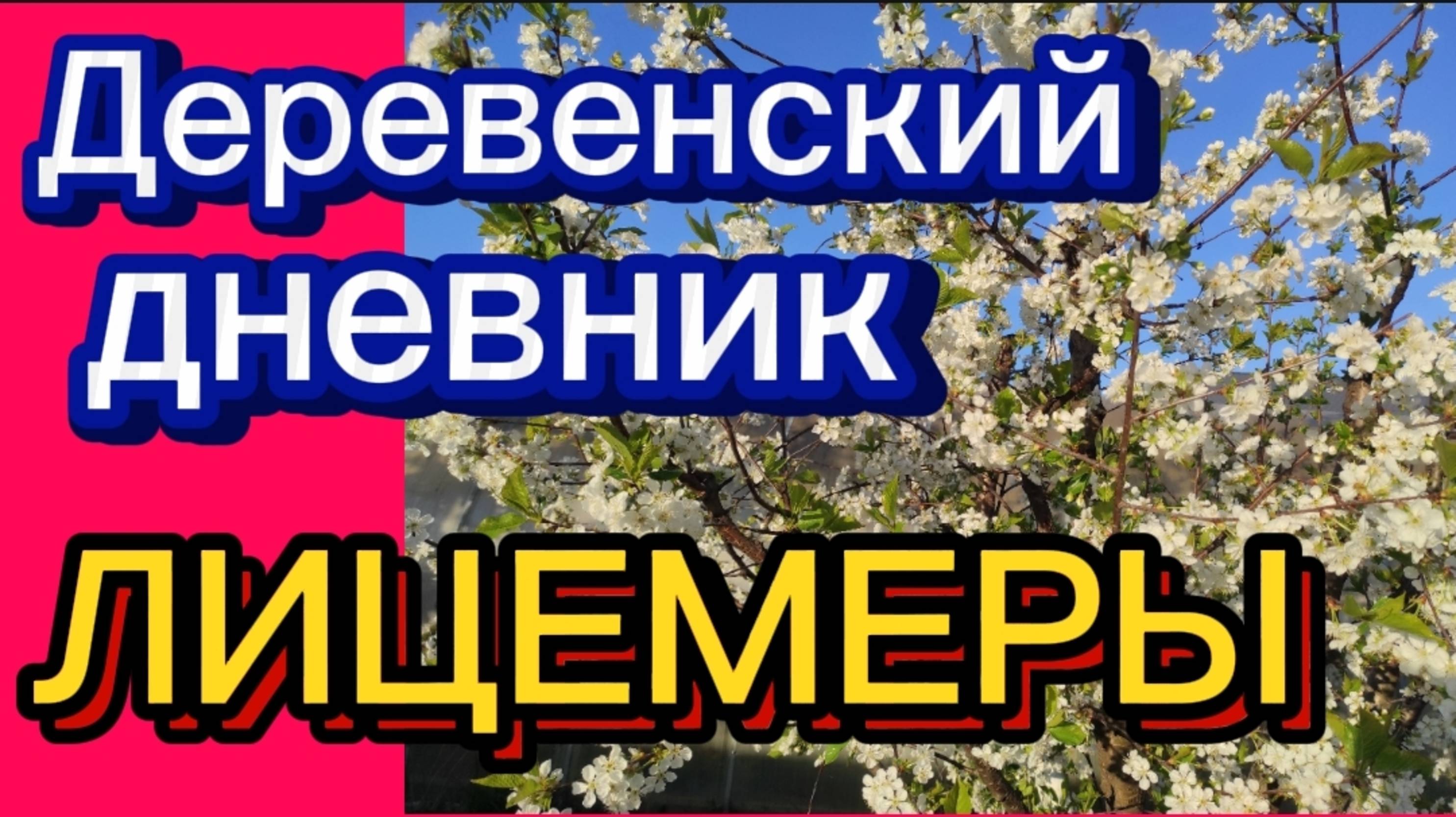 ДЕРЕВЕНСКИЙ ДНЕВНИК. "ЛИЦЕМЕРЫ"