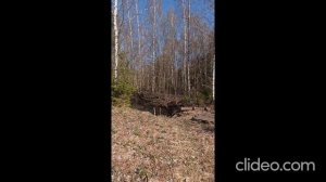 2 дачи в СНТ Здоровье
