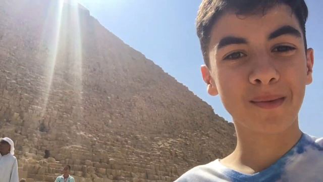 Omar Arnaout | Experienta Din EGYPT