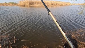 Рыбалка на Бирле 21.04.25