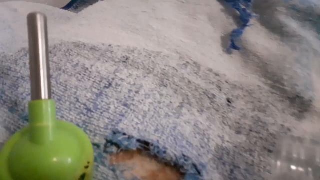 Джунгарский хомяк. История одного побега и возвращения смотреть онлайн