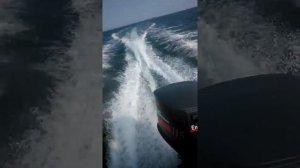 Yamaha 115 pirallahi