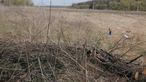21.04.2025.Усадьба Парк Кино Ляхово.Парк Кошек. Домодедово. Обзор проводимых работ д. Ляхово.