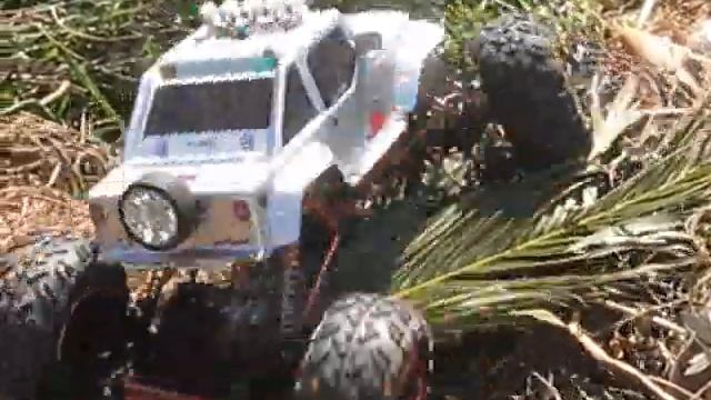 rc rock crawler around the neighborhood