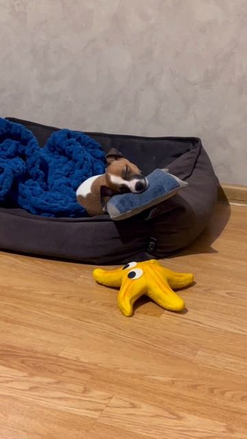 Удобненько 😊 смотреть онлайн