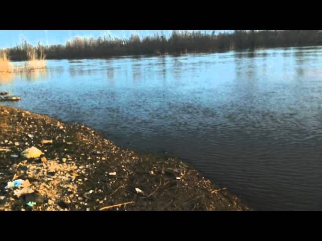 Разлив 2016 смотреть онлайн