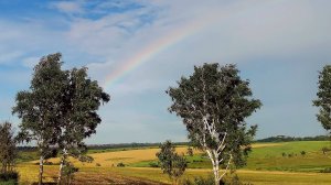 ИСЦЕЛЕНИЕ ЗВУКОМ. ЦЕЛЕБНЫЙ шум ДОЖДЯ для ХОРОШЕГО СНА.