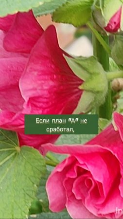 Если план "А" не сработал...