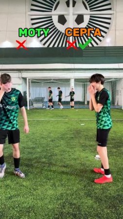 Защищаем ворота по "голосовому управлению".