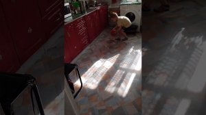 Баскетболист Адам Джорданович