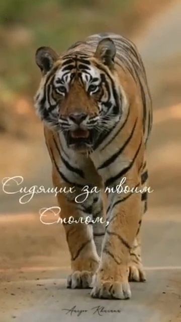 Цитаты про друзей смотреть онлайн