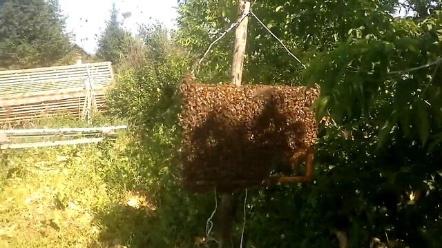 Вылет 72 го роя. смотреть онлайн