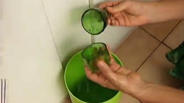 03 Fauna e Flora Internet смотреть онлайн