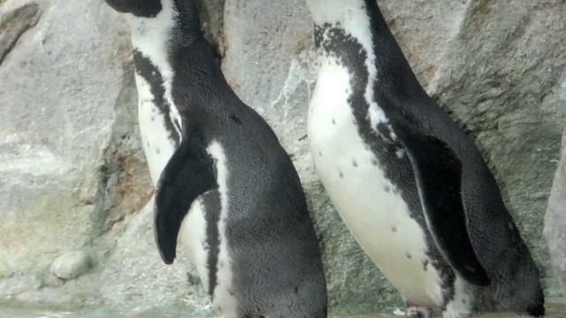 Де факты от де Юры. За 18.09.2014 смотреть онлайн