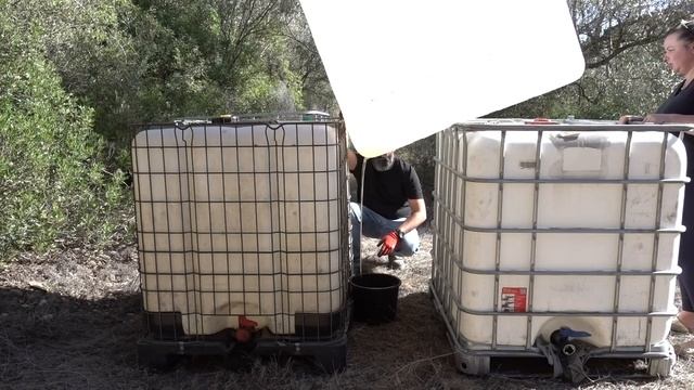 Starting Our RAINWATER HARVESTING SYSTEM (Using IBC Totes)
