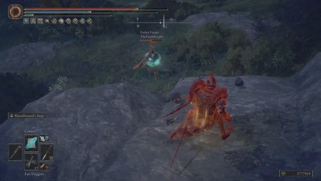 ELDEN RING - Honorable mini tournament