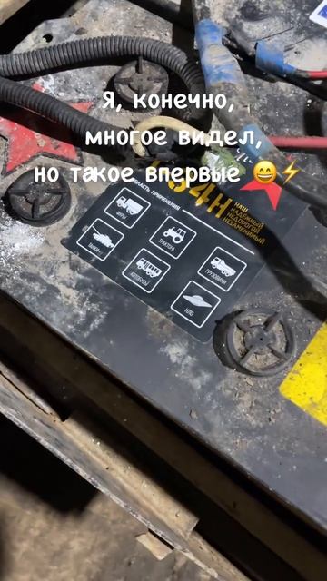 Мир не престает удивлять