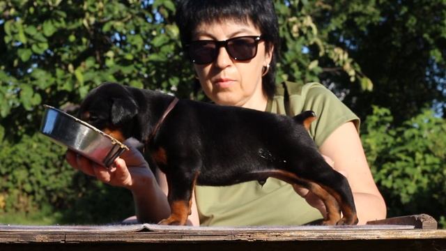 помет Д кобели 23 дня смотреть онлайн