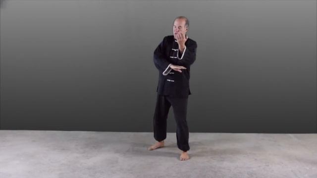 Gesture #94 White Snake Darts Out Its Tongue смотреть онлайн