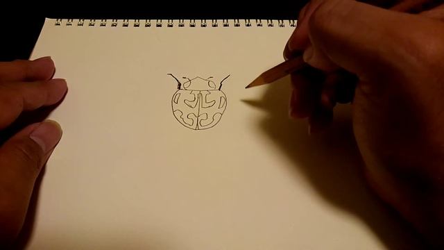 [手書き]小さな天道虫のカメノコテントウを描いてみました Aiolocaria hexaspilota #手書き #虫 #天道虫 смотреть онлайн