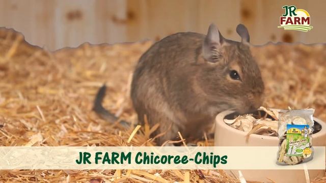 JR FARM - JR FARM Chicoree-Chips смотреть онлайн