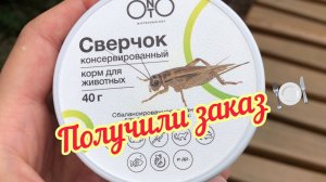 Заказ с Wildberries // УГАДАЙТЕ КТО ЭТО???