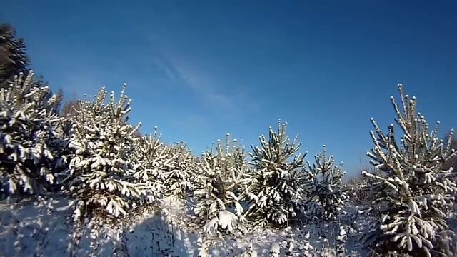 Красота леса, снег вокруг смотреть онлайн