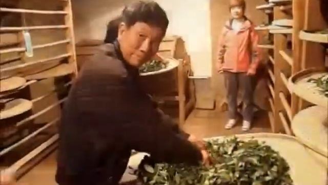 Традиционный способ производства Утёсных чаёв смотреть онлайн