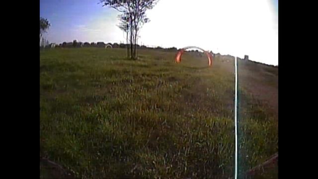 Acroman sempre davanti salsa 4s 5C di scarica  AX5  Cobra 2206 2400kv  LB30A