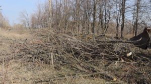 В Скопинском районе продолжаются массовые субботники.