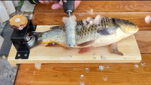 5 гениальных рыболовных приемов, которые вам нужно знать 🐠🐋🐟